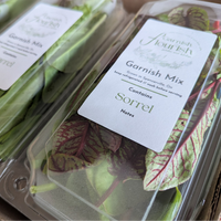 Sorrel
