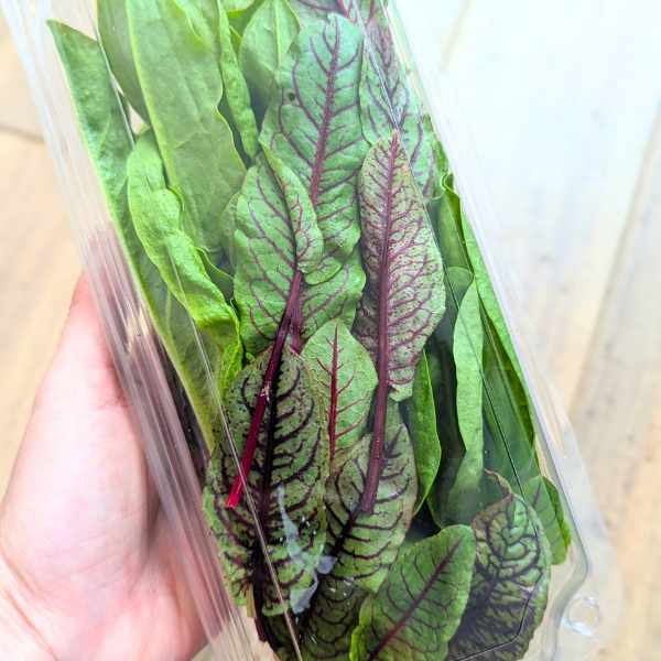 Sorrel