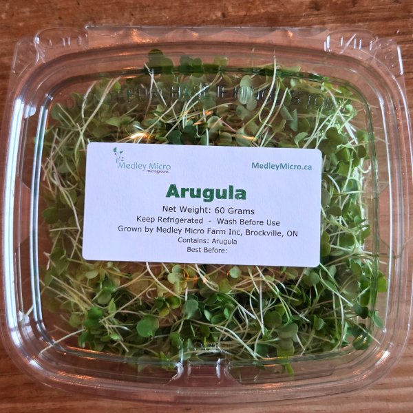 Arugula Microgreens