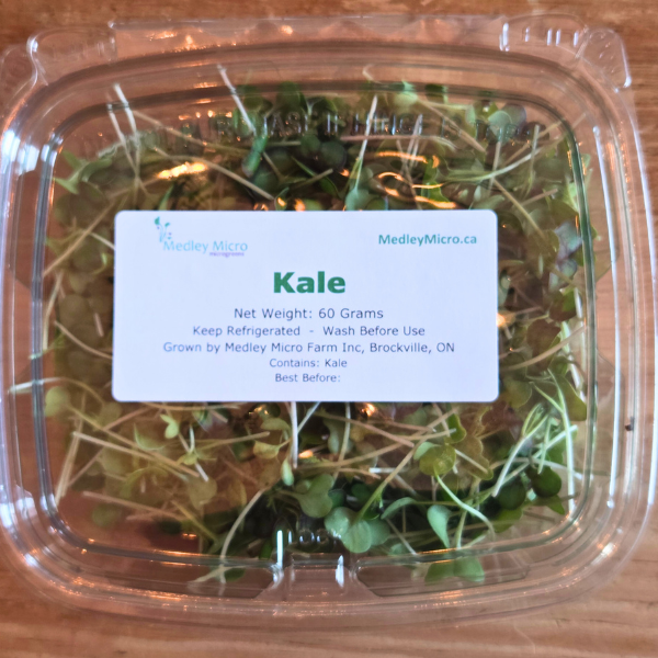 Kale Microgreens