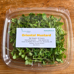 Oriental Mustard Microgreens