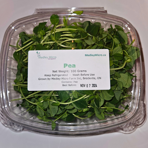 Pea Microgreens