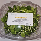 Sunflower Microgreens
