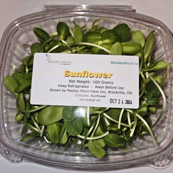 Sunflower Microgreens