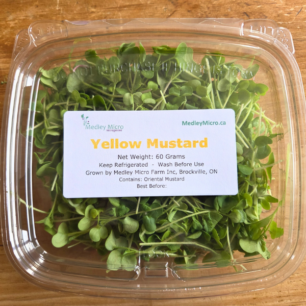 Yellow Mustard Microgreens