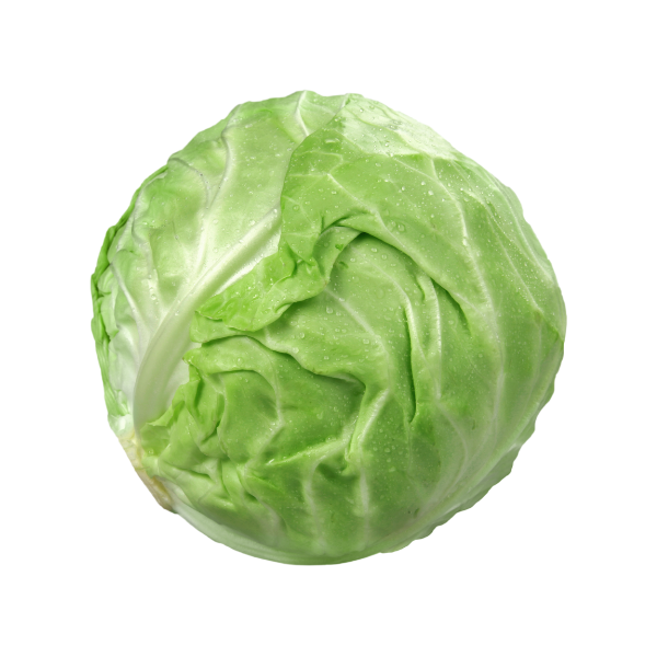 Mini Cabbage
