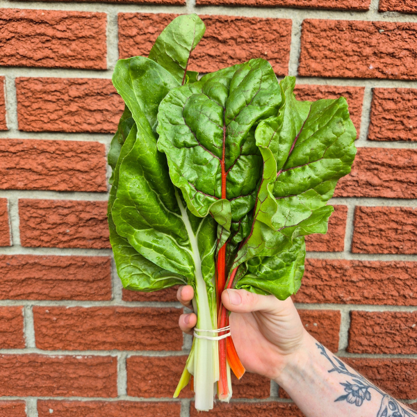 Swiss Chard