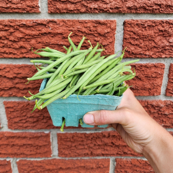 Fresh Beans