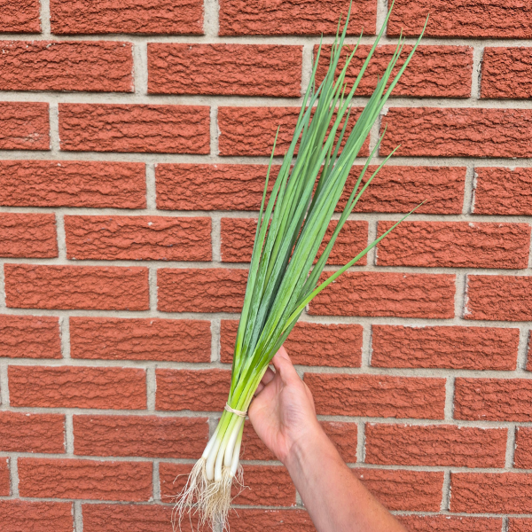 Green Onions