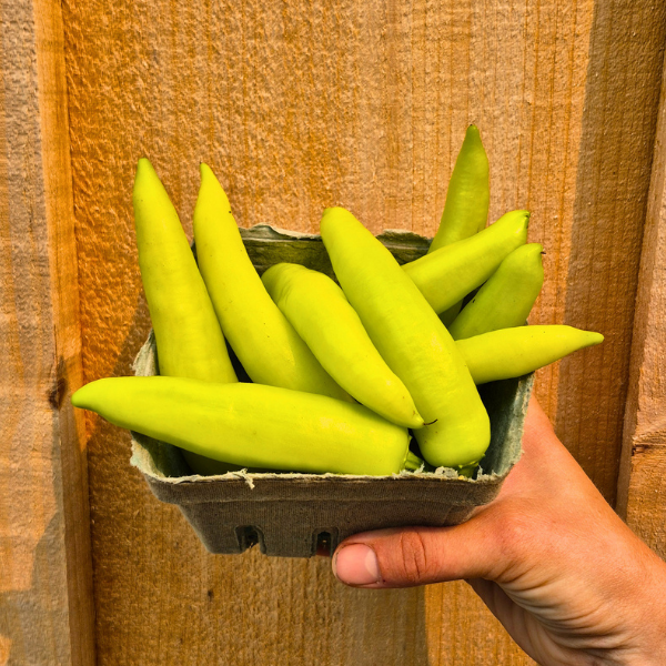 Hungarian Peppers