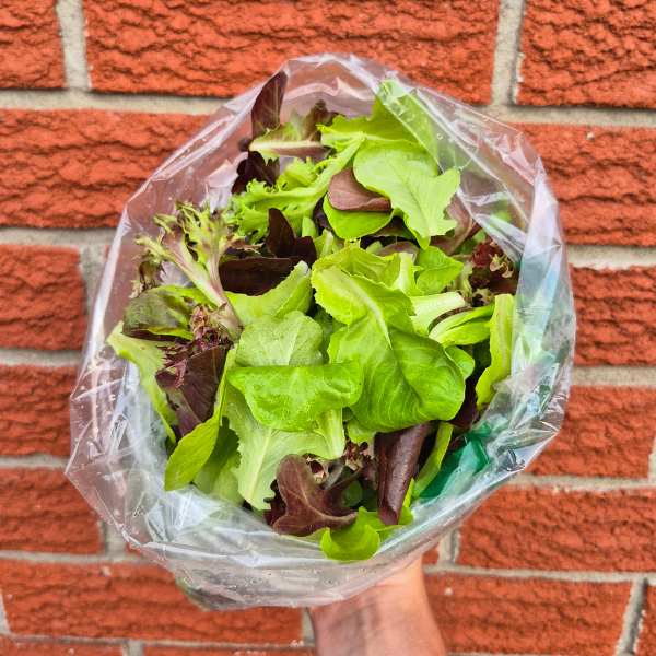 Lettuce Greens