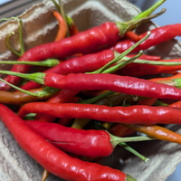 Cayenne Peppers