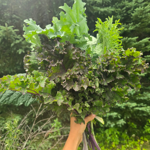 Kale