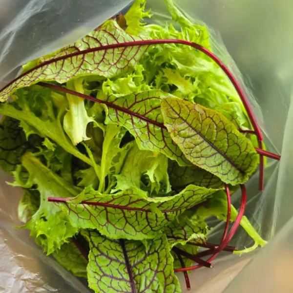 Mixed Salad