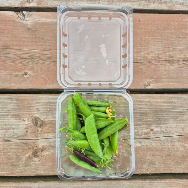 Snap Peas