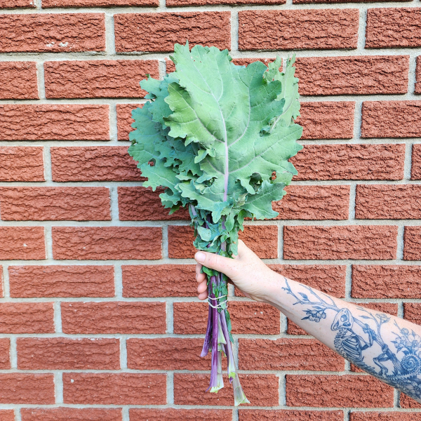 Kale