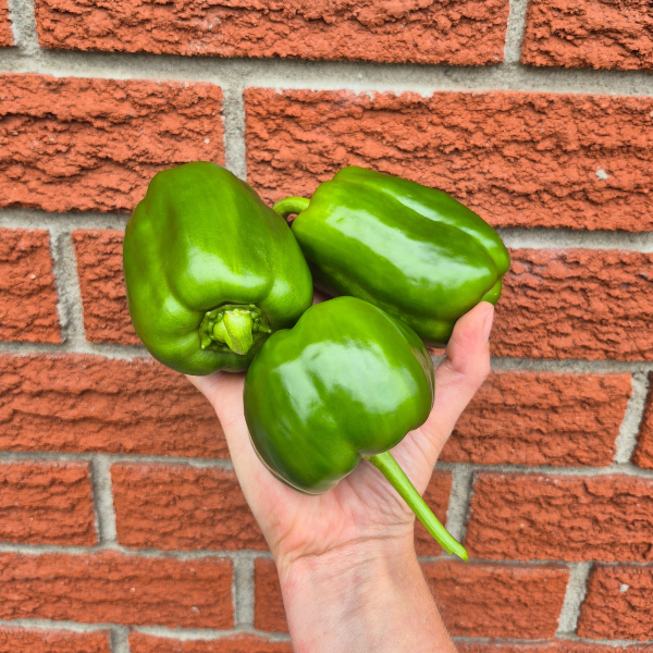 Sweet Tie-Dye Peppers
