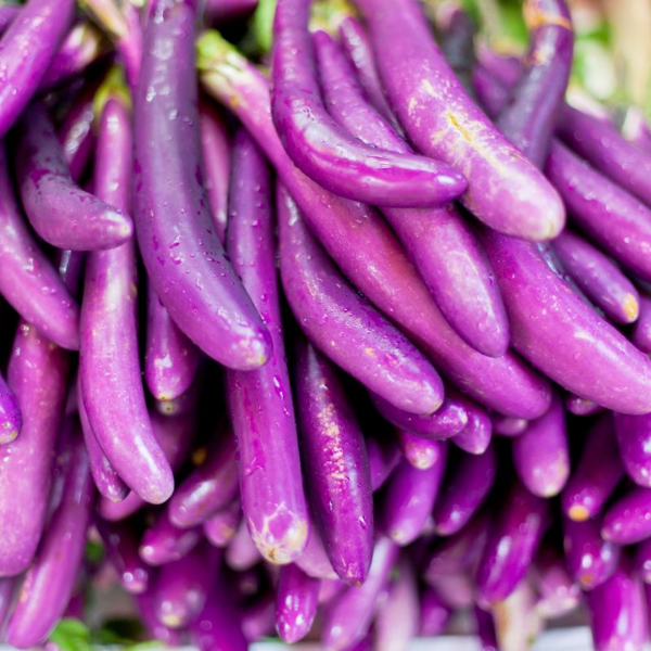 Eggplant