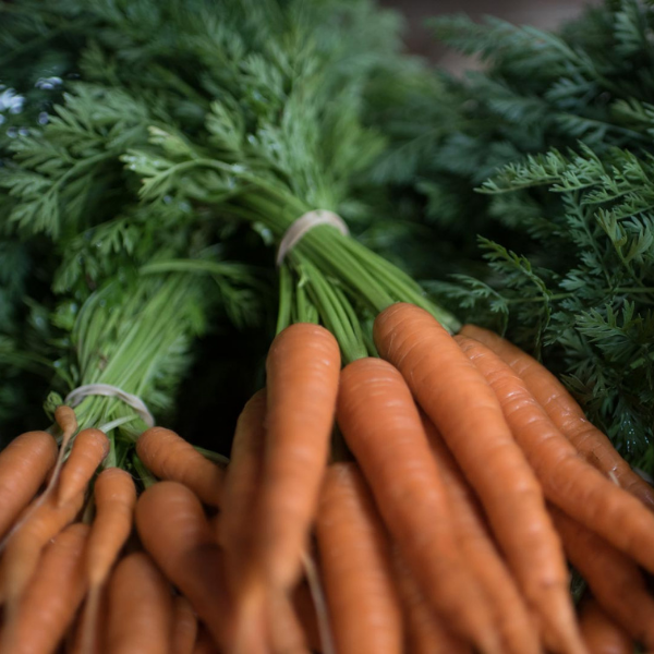 Carrots