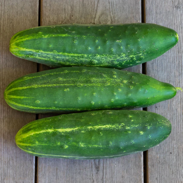Cucumber