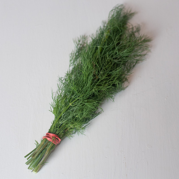 Dill