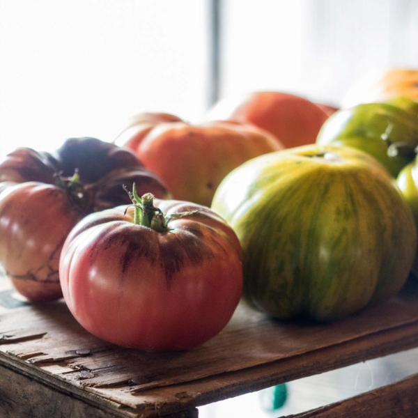 Tomatoes