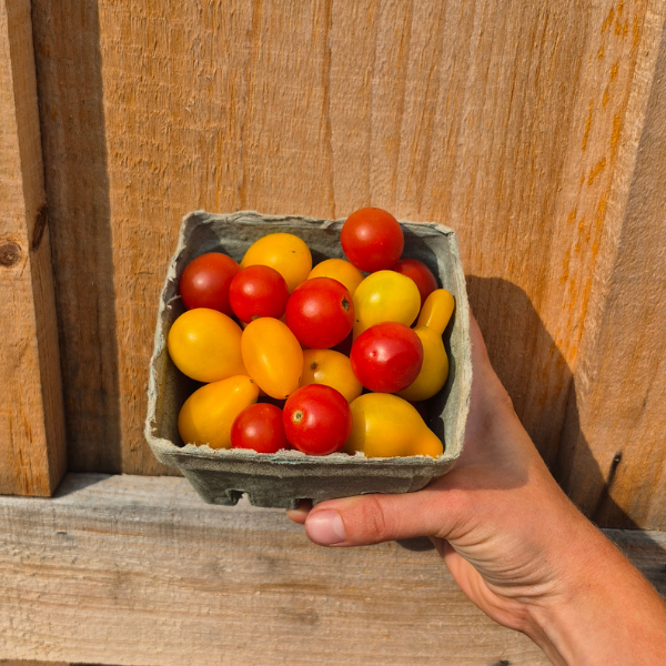 Cherry Tomatoes