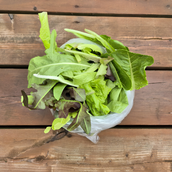Mixed Lettuce
