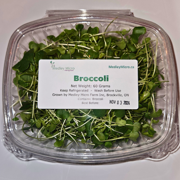 Broccoli Microgreens