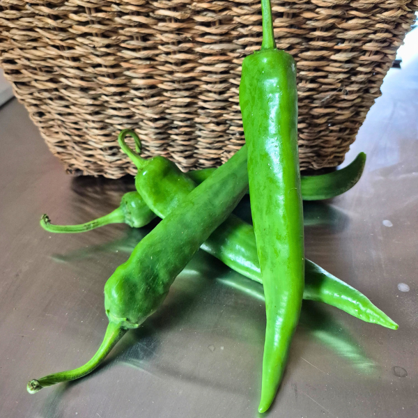 Durango Hot Pepper