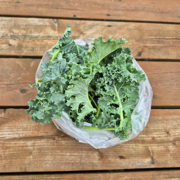Kale