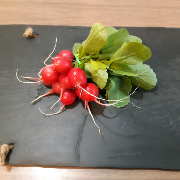 Red Globe Radish