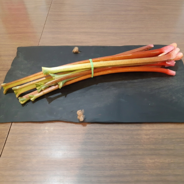 Rhubarb