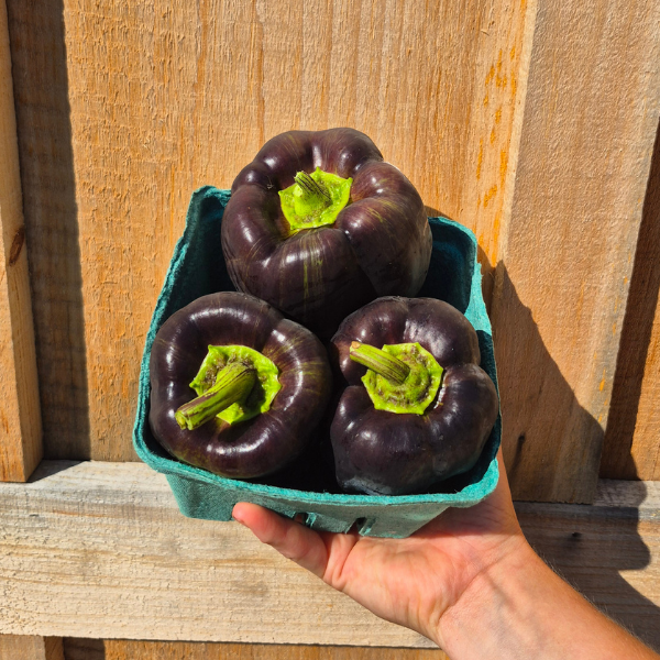 Sweet Peppers
