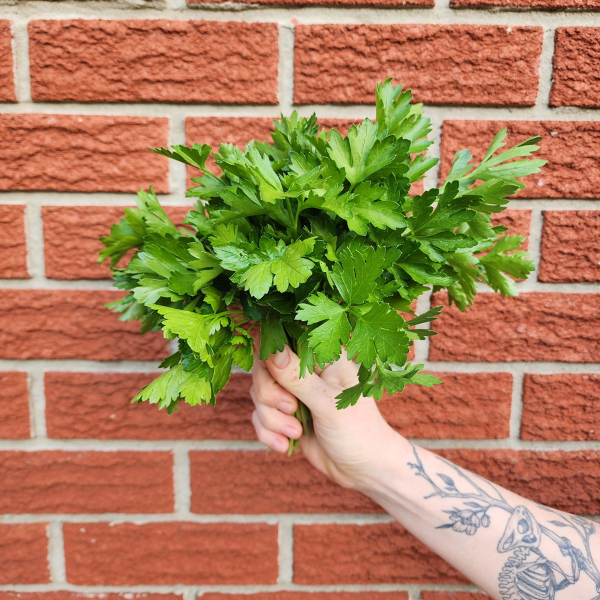 Parsley