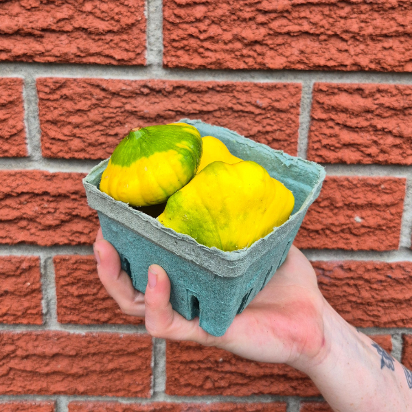 Pattypan Squash