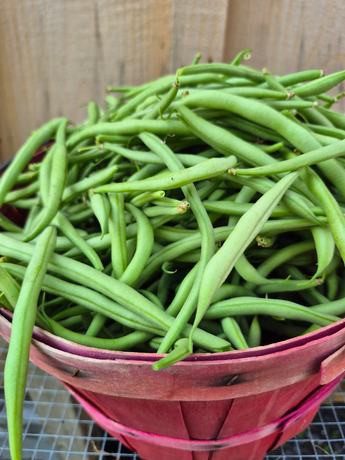 Fresh Beans
